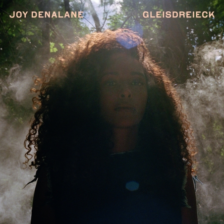 Joy Denalane – neues Album “GLEISDREIECK”
