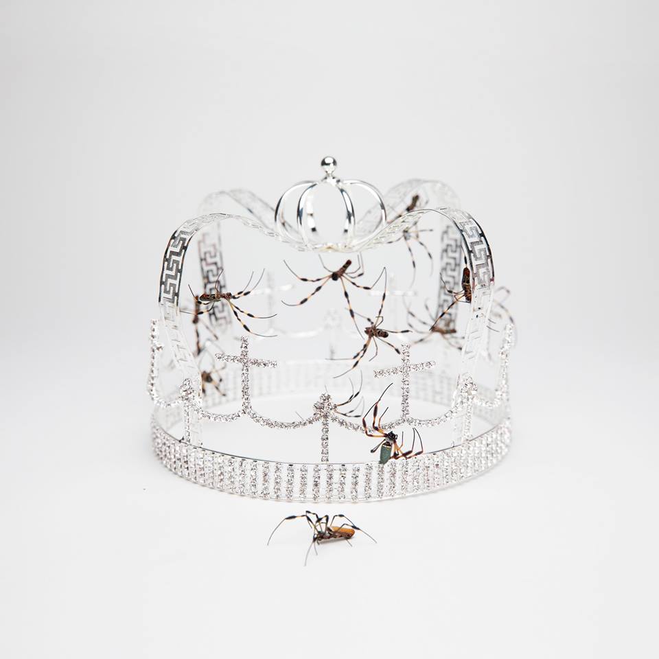 Billie Eilish veröffentlicht neue Single “you should see me in a crown”